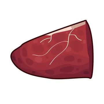 Meat illustration Stock Illustration