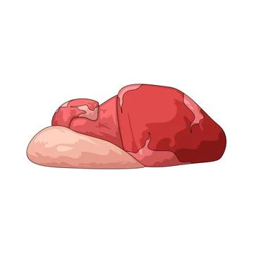 Meat illustration Stock Illustration