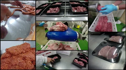 Meat Industry Stock Footage 157785739