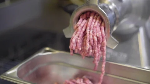 Meat inserted into Grinder Video stock 102281363