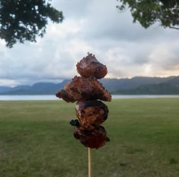 Meat Kabob Stock Photos