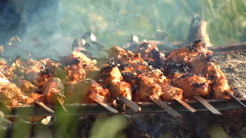 Meat kebab brazier bonfire Stock Footage 112683290