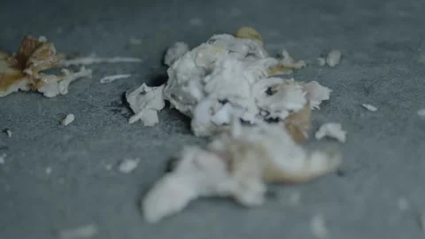 Meat lying on floor Vídeos de archivo 147982774