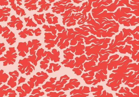 Meat marbled texture. Raw red fresh meat slice for cooking, aged steak pattern Stock Illustration
