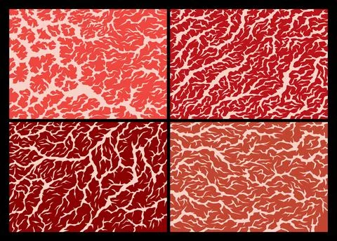 Meat marbled texture set. Raw red fresh meat slice for cooking, aged steak Stock Illustration
