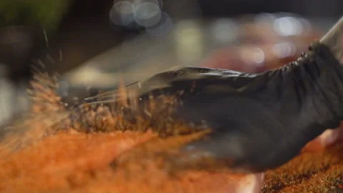 Meat marinating for barbecue 12 Stock Footage 108453317