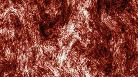 Meat morph horror background Stock Footage 12760749