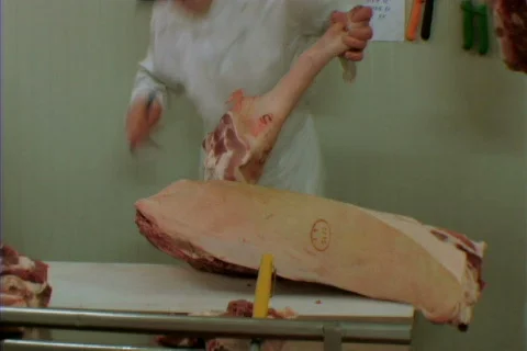 Meat packing 12 Stock Footage 400145