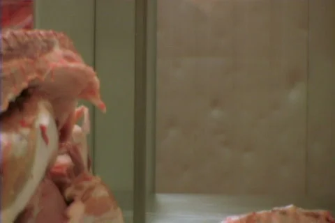 Meat packing 15 Stock Footage 400168