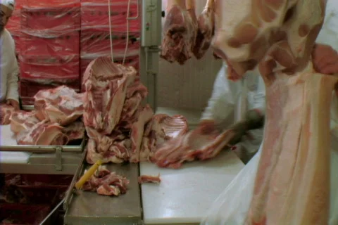 Meat packing 16 Vidéo 400205