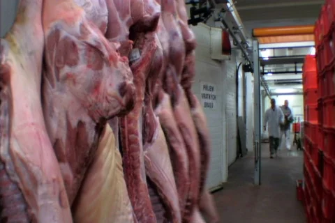 Meat packing 18 Vidéo 400240