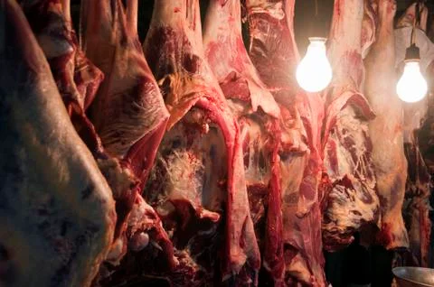 Meat Foto stock