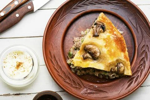 Meat pie with champignon Stock Photos