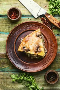 Meat pie with champignon Stock Photos