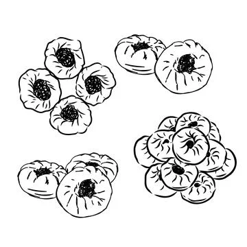 Meat pies. Linear drawing by hand. Vintage Stock Illustration