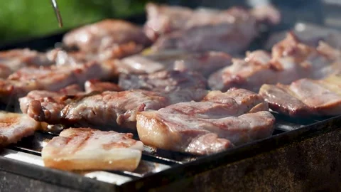 Meat preparing on barbeque close up Stock Footage 335698501