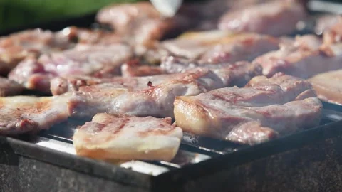 Meat preparing on barbeque close up time lapse Stock Footage 335693542