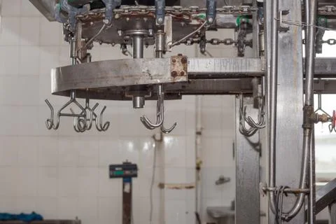 Meat processing of chicken products. Technological process. Stock Photos