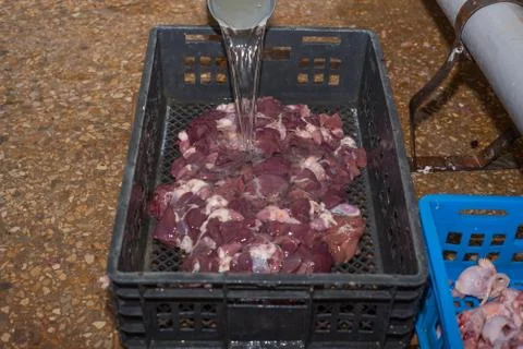 Meat processing of chicken products. Technological process. 스톡 사진