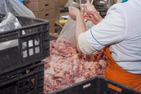 Meat processing of chicken products. Technological process. Stock Photos