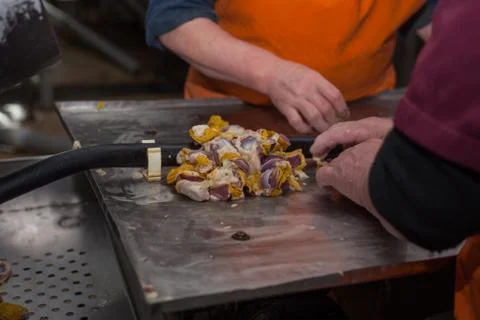 Meat processing of chicken products. Technological process. Stock Photos