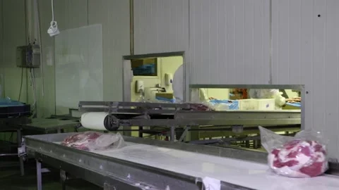 Meat processing facility, conveyor belt, for packaging and further processi.. Stock Footage 318427236