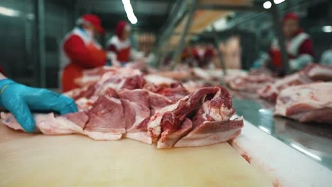 Meat processing factory. Plant workers is cutting off carcasses Video stock 241728674