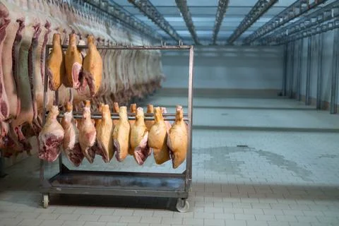 Meat processing in the meals industry, cuts uncooked pig Fotos de archivo