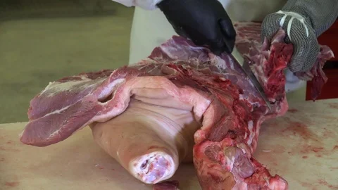 Meat Processing or Cut of Pork 3 動画素材 97598696