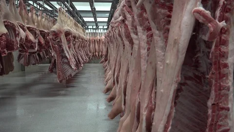 Meat Processing Plant and Food Industry Stock Footage 99315700
