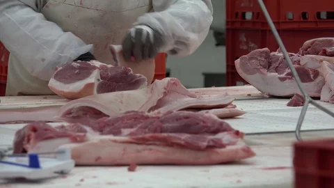 Meat Processing Plant and Food Industry (4) Stock Footage 99315705