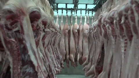 Meat Processing Plant and Food Industry (3) Stock Footage 99315706