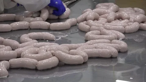 Meat Processing Plant and Food Industry (5) 動画素材 99315707