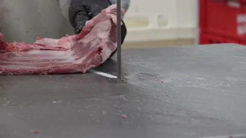 Meat Processing Plant and Food Industry Stock Footage 239605881