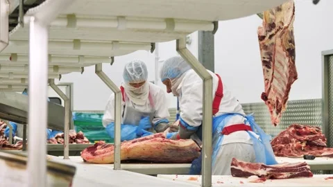 Meat processing plant, butchers cuts beef carcasses Stock-Footage 138198904