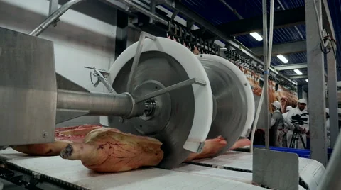 Meat Processing Plant circular Saw Stock Footage 46373474