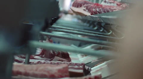 Meat Processing Plant conveyor butchering carcasses Stock Footage 46374615