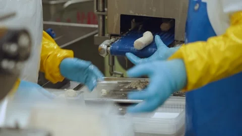 Meat processing plant conveyor, meat processing plant, meat processing Stock Footage 345933837