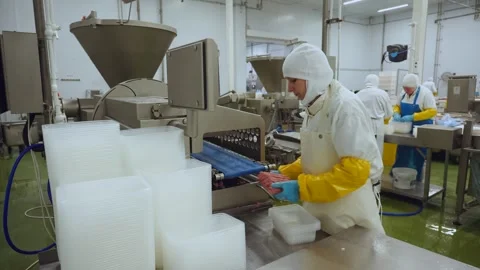 Meat processing plant conveyor, meat processing plant Stock Footage 345933881