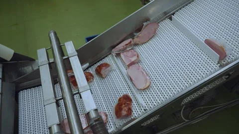 Meat processing plant conveyor, meat processing plant Stock Footage 345934119
