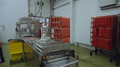 Meat processing plant conveyor, meat processing plant Stock Footage 345934121