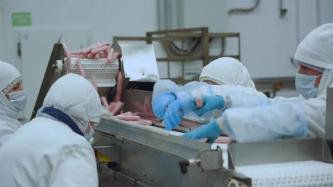Meat processing plant conveyor, meat processing plant Stock Footage 345934147