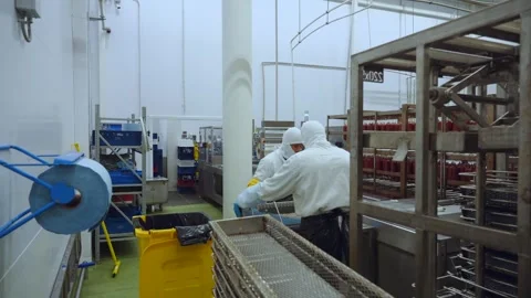 Meat processing plant conveyor, meat processing plant Stock Footage 345934156