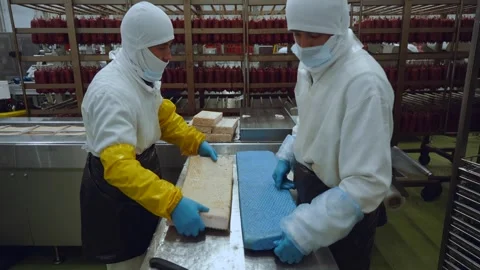 Meat processing plant conveyor, meat processing plant Stock Footage 345934165