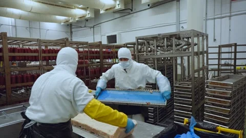 Meat processing plant conveyor, meat processing plant Stock Footage 345934166