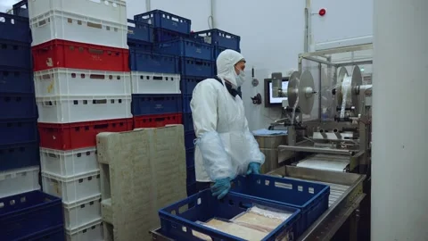 Meat processing plant conveyor, meat processing plant Stock Footage 345934184