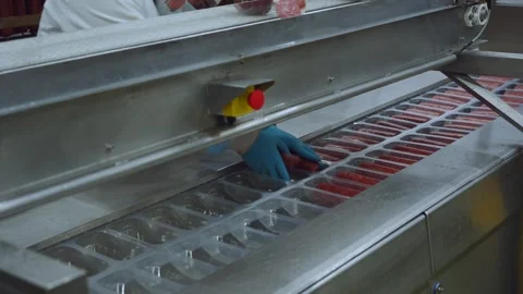 Meat processing plant conveyor, meat processing plant Stock Footage 345934190