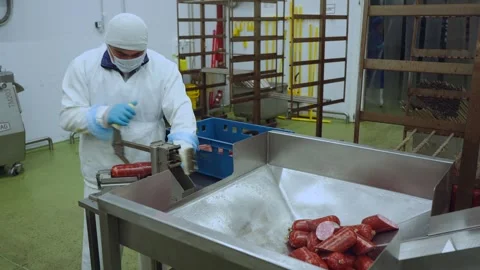 Meat processing plant conveyor, meat processing plant Stock Footage 345934193
