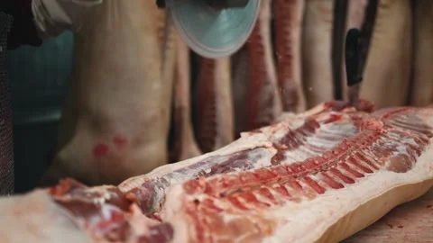 Meat processing plant, cutting pork carcasses, meat production. Saw for meat Vidéo 241010058