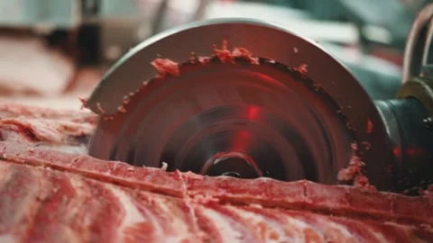 Meat processing plant, cutting pork carcasses, meat production. Saw for meat Video stock 241010124